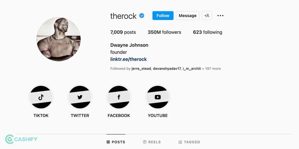 the rock highest followers on instagram