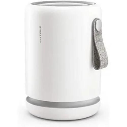 Molekule Air Mini Front