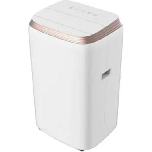 Lloyd LP12B01TP 1 Ton Portable AC