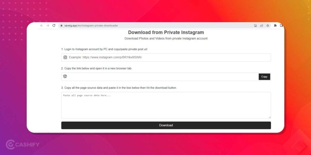 Instagram Story Saver for Private Account