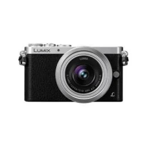 Panasonic Lumix DMC-GM1 (12-32mm f/3.5-f/5.6 Kit Lens) Mirrorless