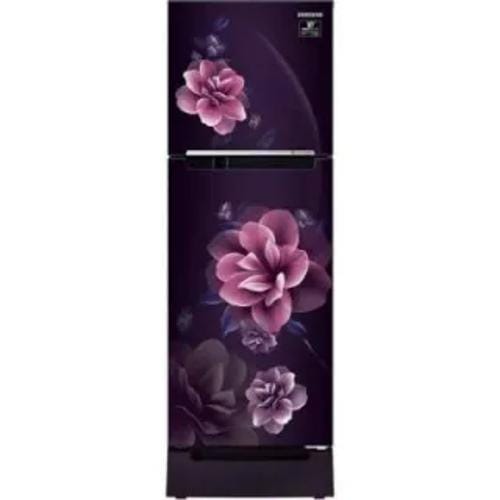 Samsung RT28B3122CR 253 Ltr Double Door Front