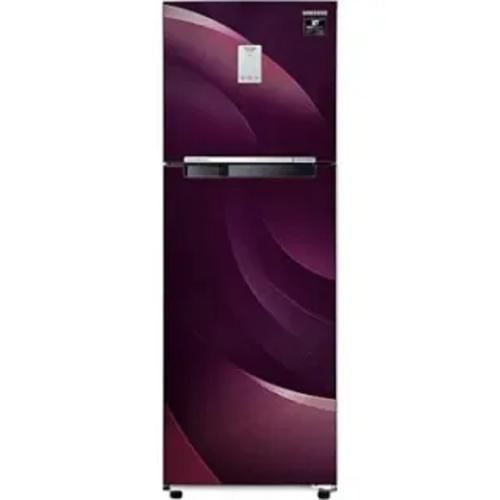 Samsung RT30A3A234R 265 Ltr Double Door