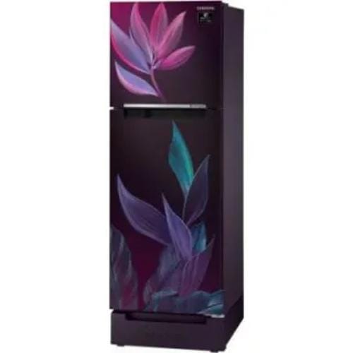 Samsung Rt28T31429R 253 Ltr Double Door Front Display