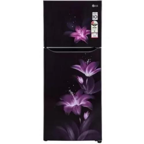 Lg Gl N292Bpgy 260 Ltr Double Door Front