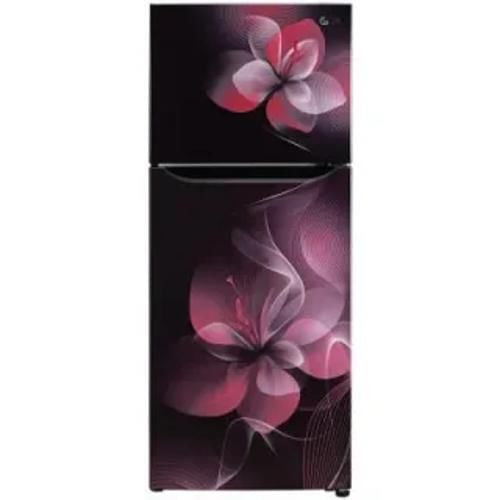 Lg Gl N292Bpdy 260 Ltr Double Door Front