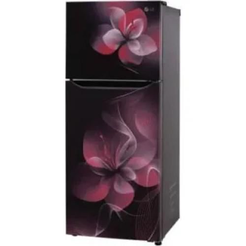 Lg Gl S292Dpdy 260 Ltr Double Door Front Display