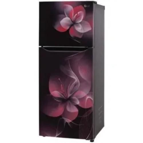 Lg Gl N292Dpdy 260 Ltr Double Door Front Display