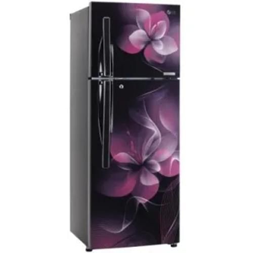 Lg Gl T322Rpdu 308 Ltr Double Door Front Display