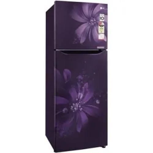 Lg Gl 282Spam 255 Ltr Double Door Front Display