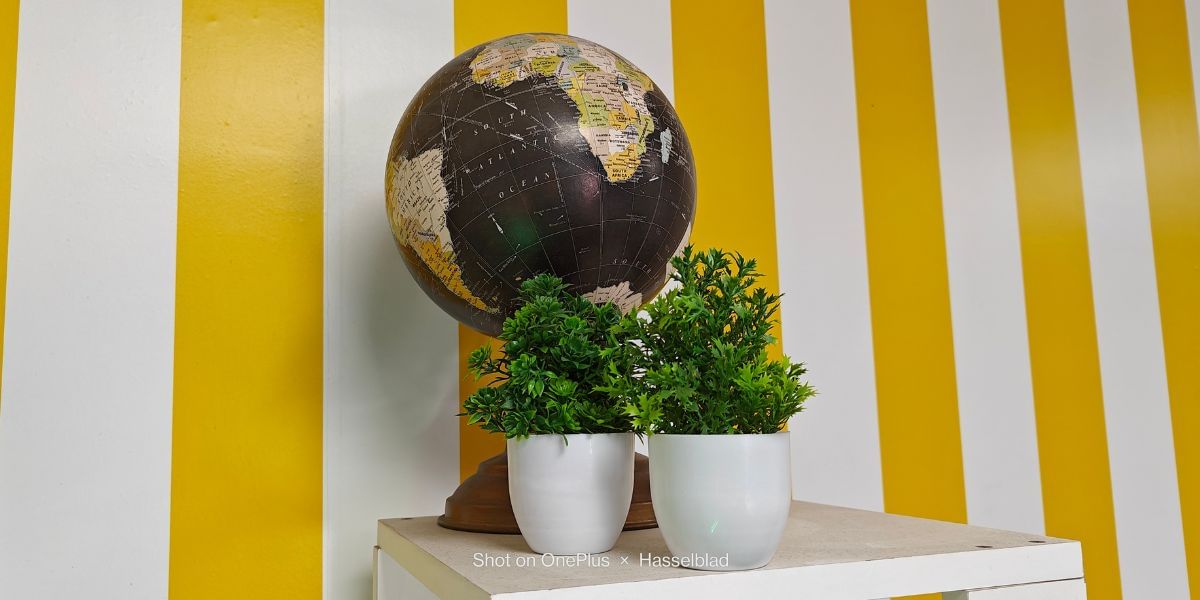 OnePlus 11 Camera samples