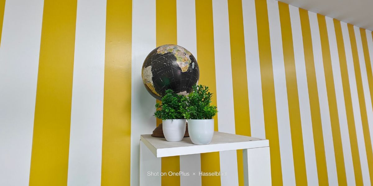 OnePlus 11 ultra-wide Camera