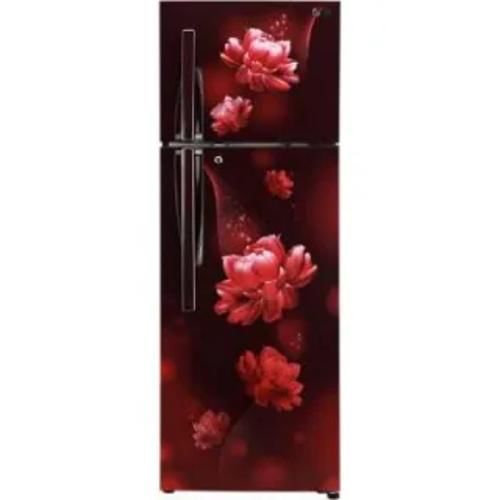 Lg Gl T322Rscy 308 Ltr Double Door Front