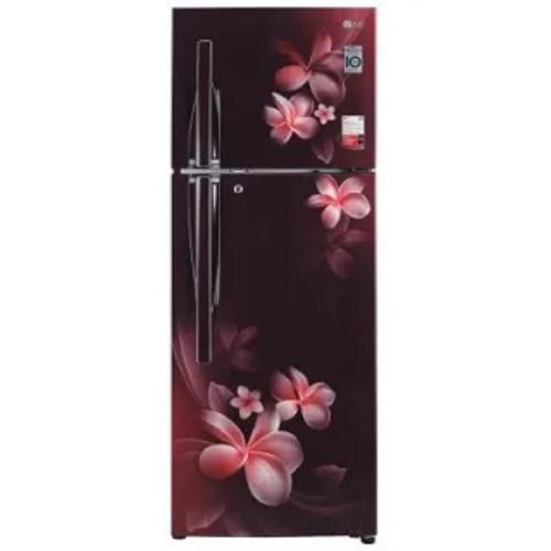 Lg Gl T302Rspx 284 Ltr Double Door Front