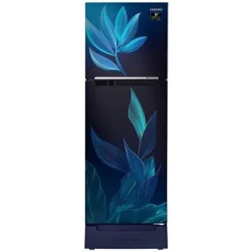 Samsung Rt28T31429U 253 Ltr Double Door Front