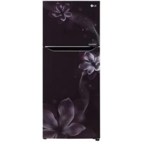Lg Gl N292Dpoy 260 Ltr Double Door Front