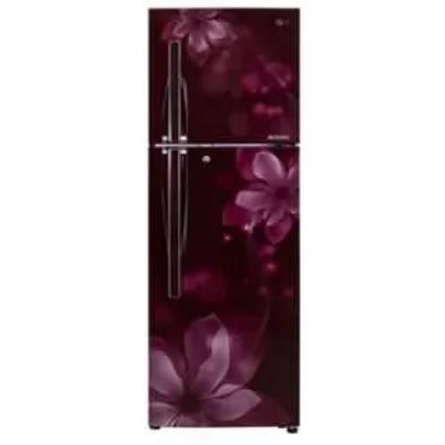 Lg Gl Q282Rsoy 255 Ltr Double Door Front