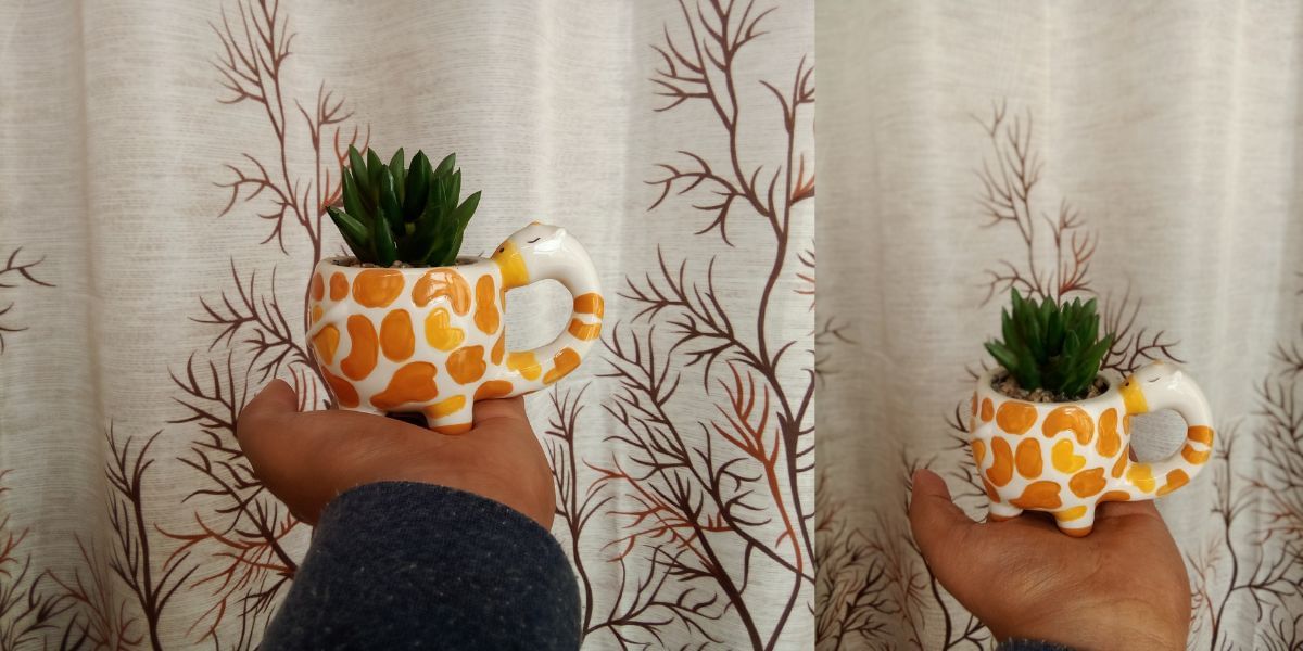 POCO C50 Camera samples