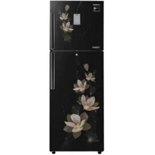 Samsung RT30N3983B7 275 Ltr Double Door Front
