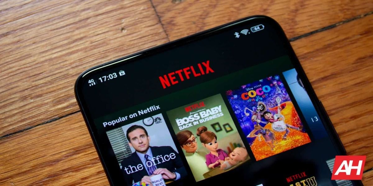 Netflix Password
