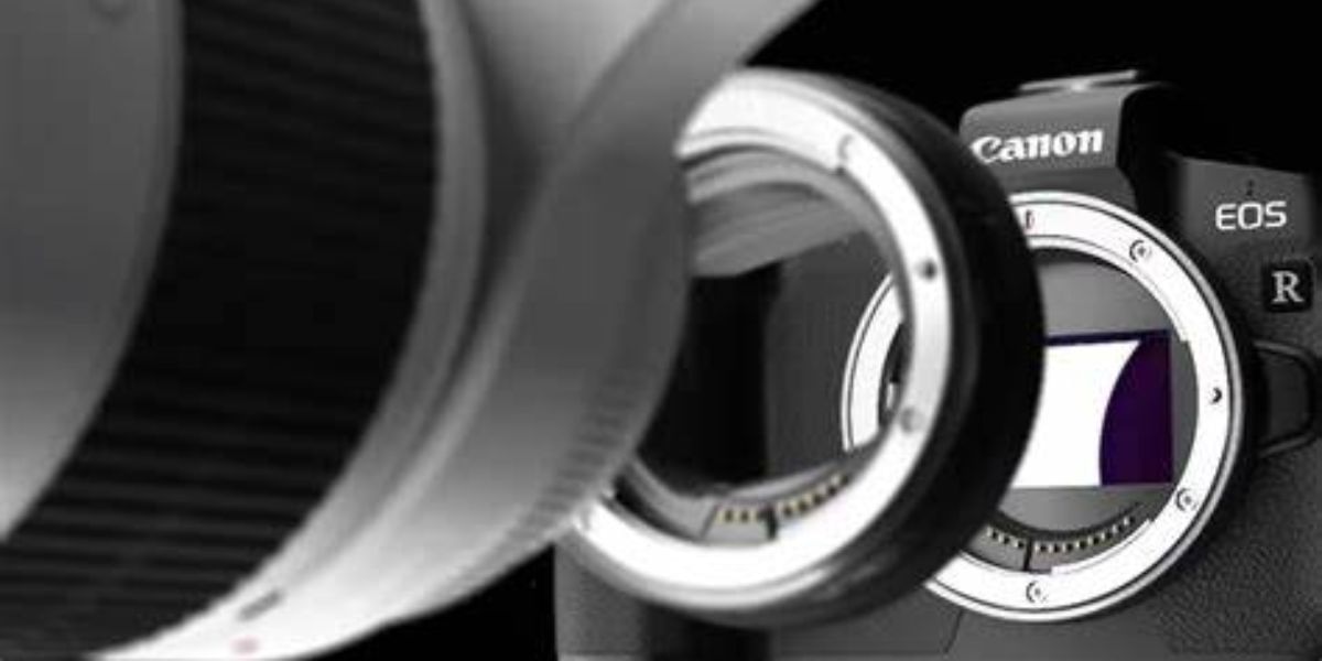 Canon EOS R8 and EOS R50 Launched In India