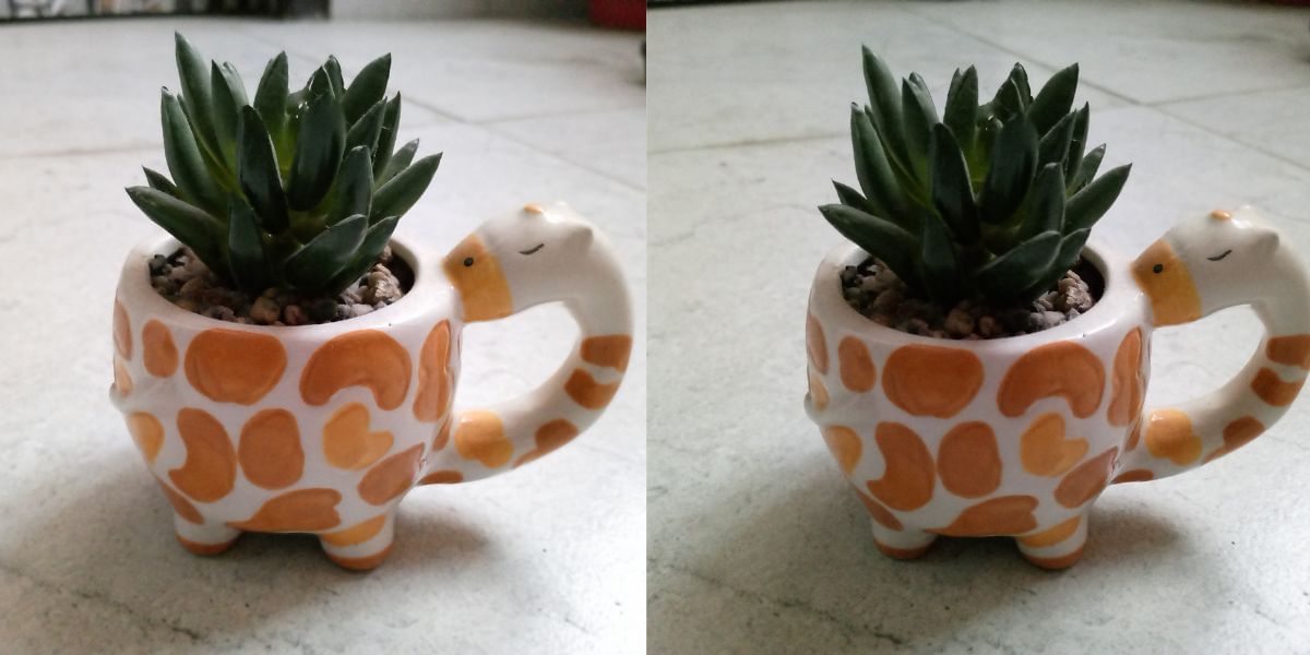Tecno Spark Go 2023 Camera Samples
