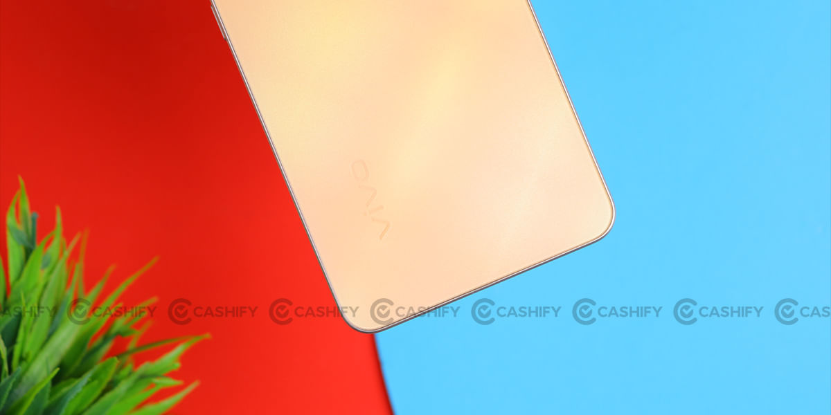 Vivo Y100 colour changing back
