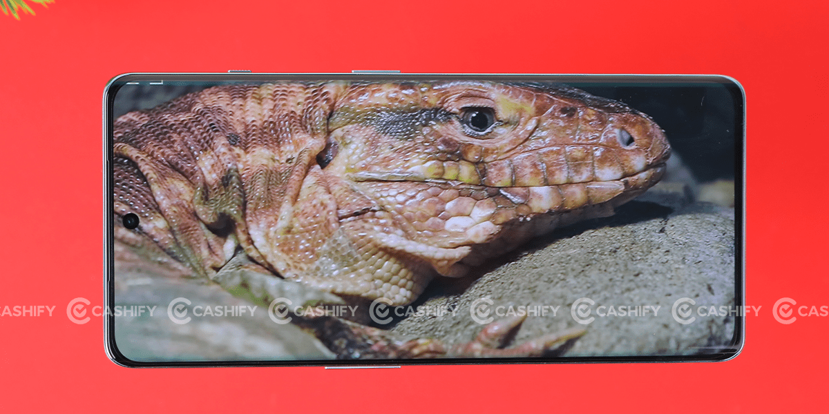 OnePlus 11R Display quality