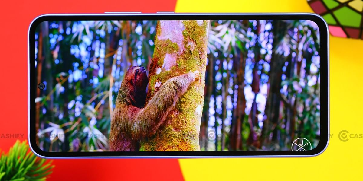 Samsung Galaxy A54 Display quality