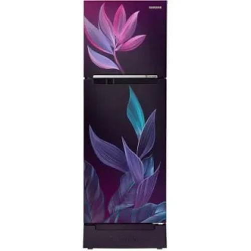 Samsung RT28C31429R 236 Ltr Double Door Front