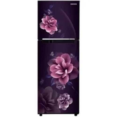 Samsung RT28C3022CR 236 Ltr Double Door Front