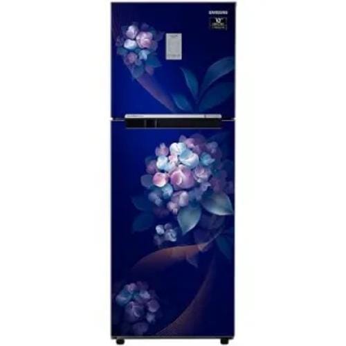 Samsung RT28C3732HS 236 Ltr Double Door Front
