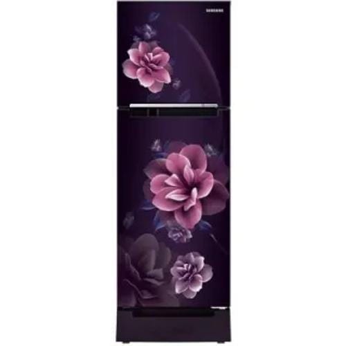 Samsung RT28C3122CR 236 Ltr Double Door Front
