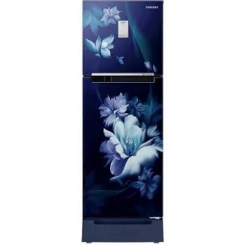 Samsung RT28C3C32UZ 224 Ltr Double Door Front