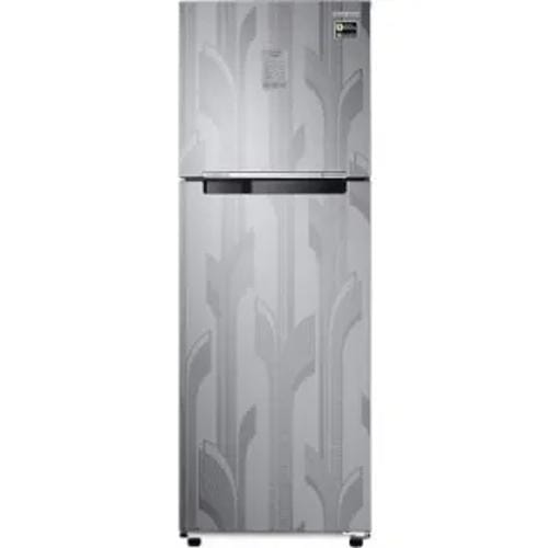 Samsung RT30C3732YS 256 Ltr Double Door Front