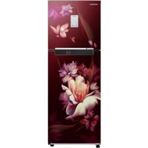 Samsung RT28B3522RZ 244 Ltr Double Door Front