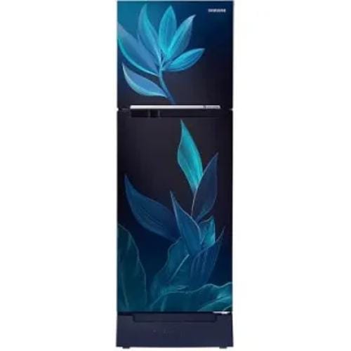 Samsung RT28C31429U 236 Ltr Double Door Front