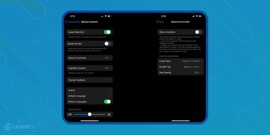 Speechh Controller Settings iPhone