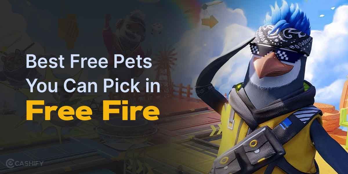 Top 6 Free Pets You Can Pick In Free Fire
