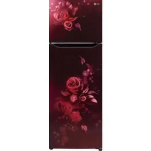 LG GL-N292BSEY 242 Ltr Double Door Front