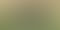 Redmi Buds 4 Active Review &#8211; Best TWS Under 1500?