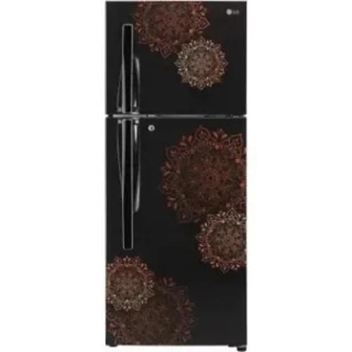LG GL-N292RERY 260 Ltr Double Door Front