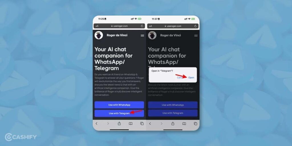 Roger Da Vinci Telegram Bot