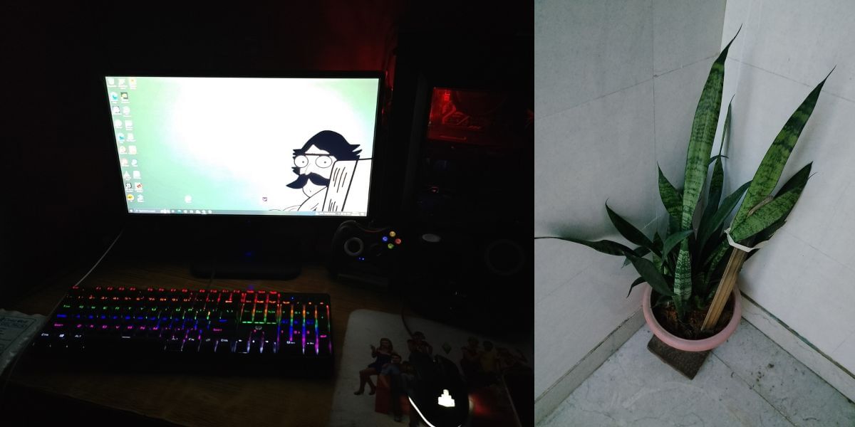 Realme C53 Camera samples