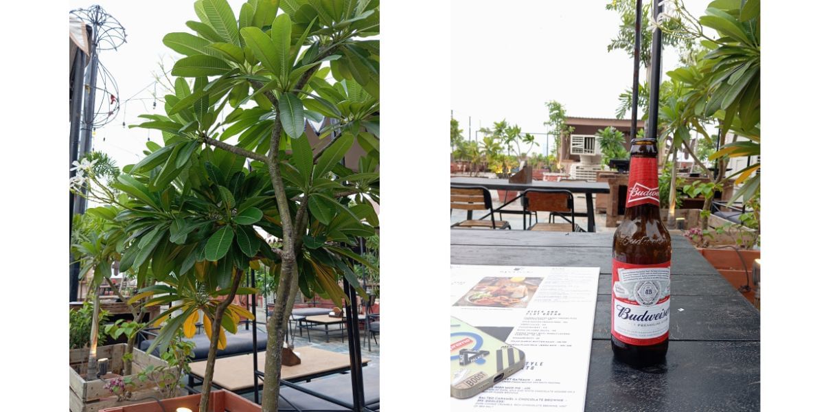 Redmi 12 Camera Samples