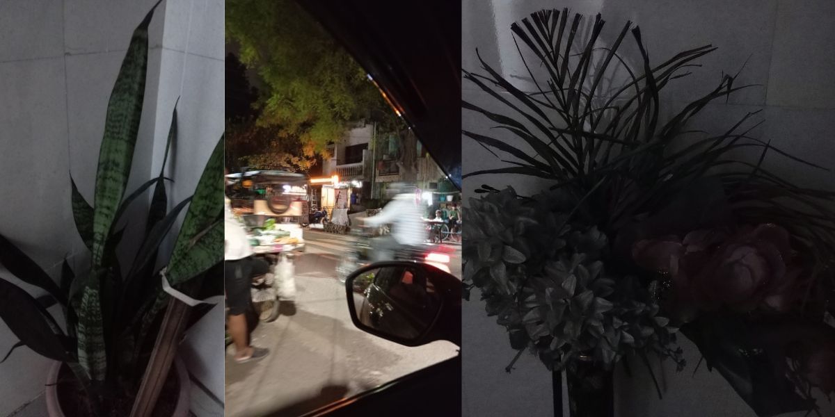 Redmi 12 Camera Samples