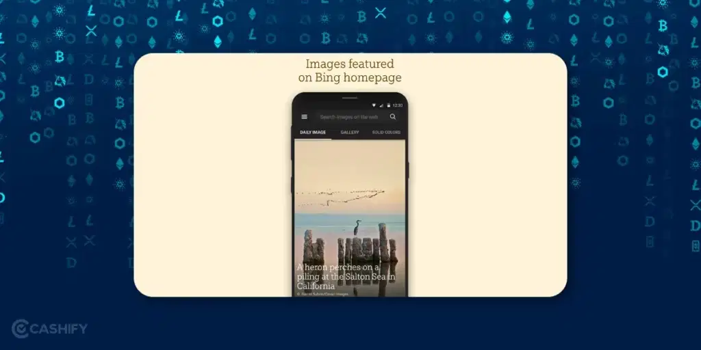 bing wallpapers - lock screen wallpapers