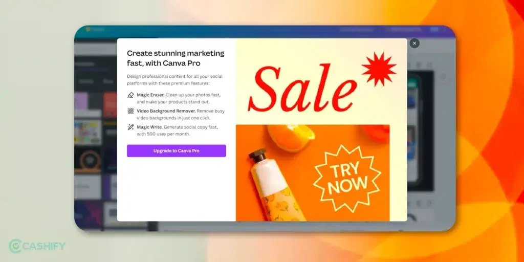 canva pricing