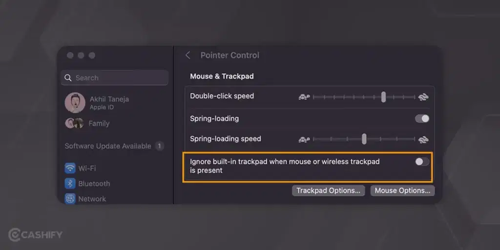 Trackpad Settings on macOS