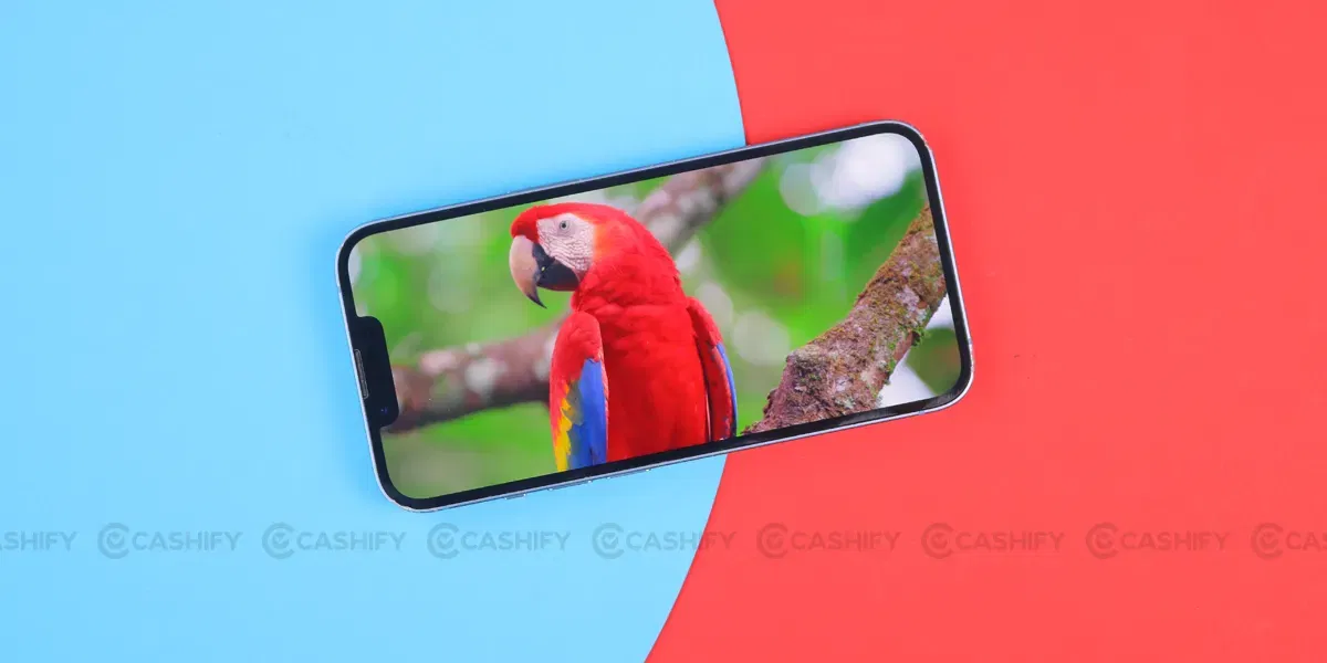 Apple iPhone 14 Display quality